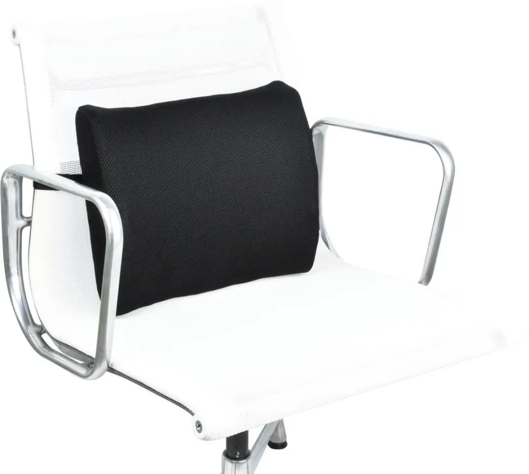Desq Ergonomische Rugsteun L
