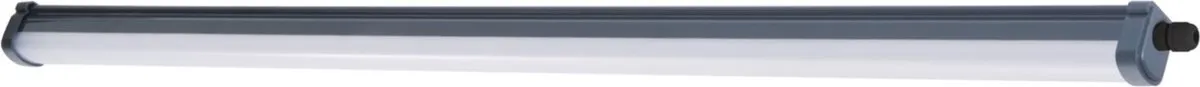 Philips ProjectLine Waterproof Buislamp 3100lm Warmwit