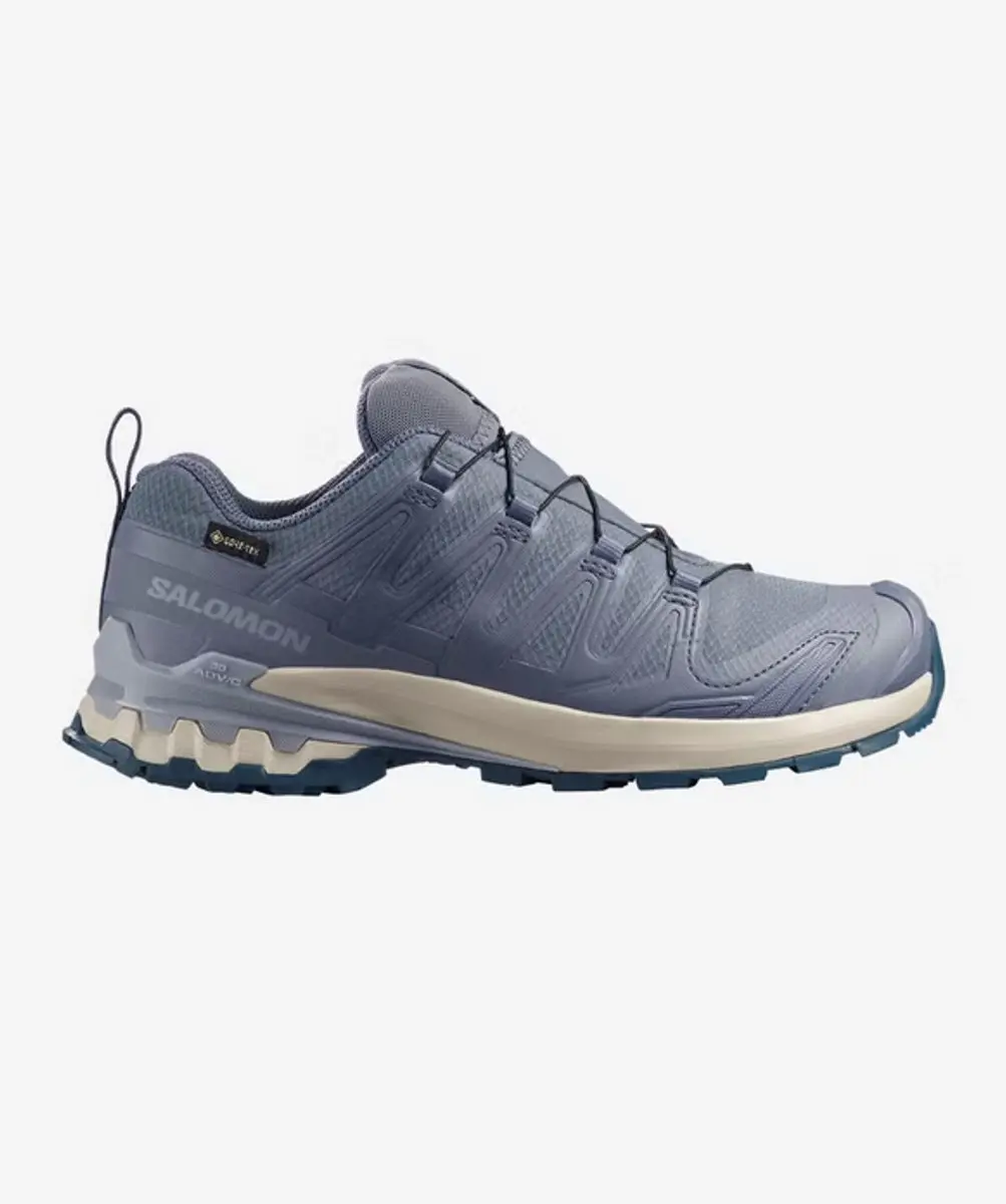 Salomon XA Pro 3D V9 GTX