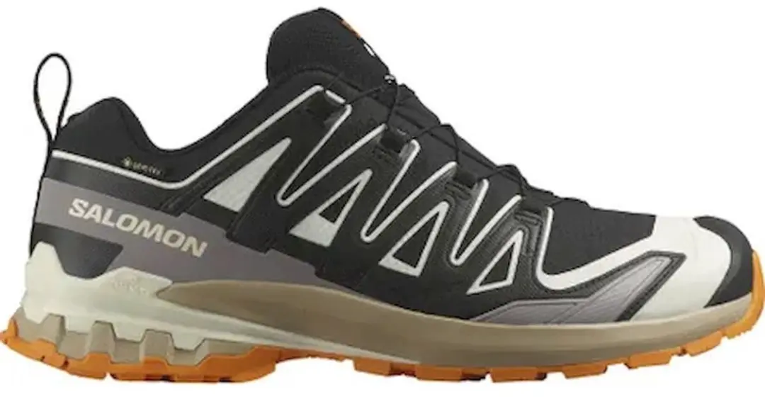 Salomon XA Pro 3D V9 Gore-Tex Wandelschoenen Heren - Zwart - afbeelding 2 van 6