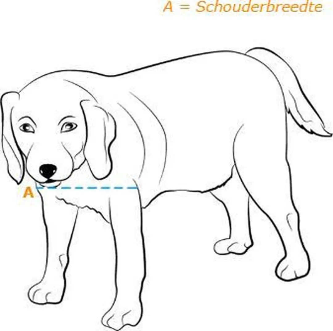 Petsafe 660 Hondenluik Aluminium - Tot 100 kg - Wit - afbeelding 6 van 6