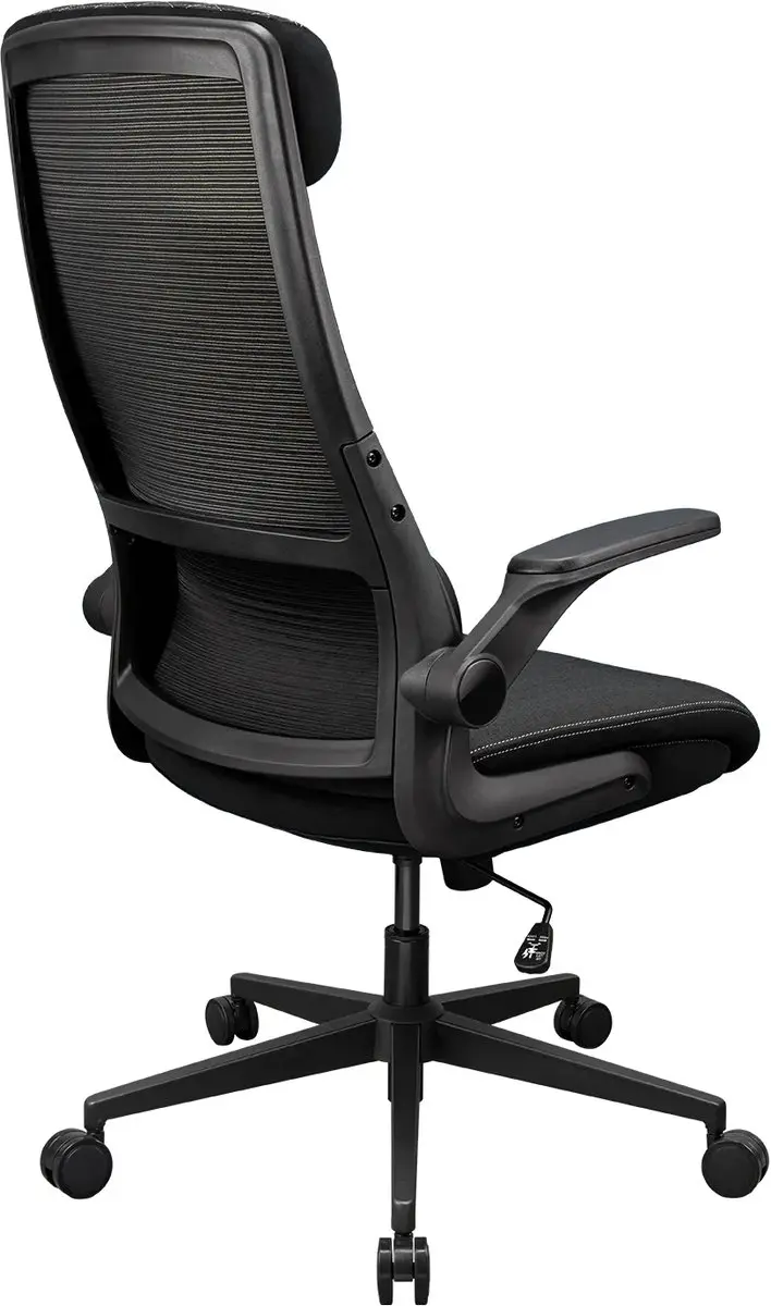 Cougar Stryder Ergonomische Stoel - Zwart