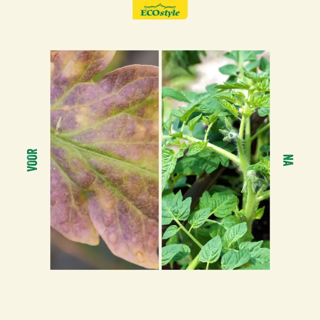 ECOstyle Beendermeel 1,6kg - Dwerggroei/Afsterving - afbeelding 3 van 6