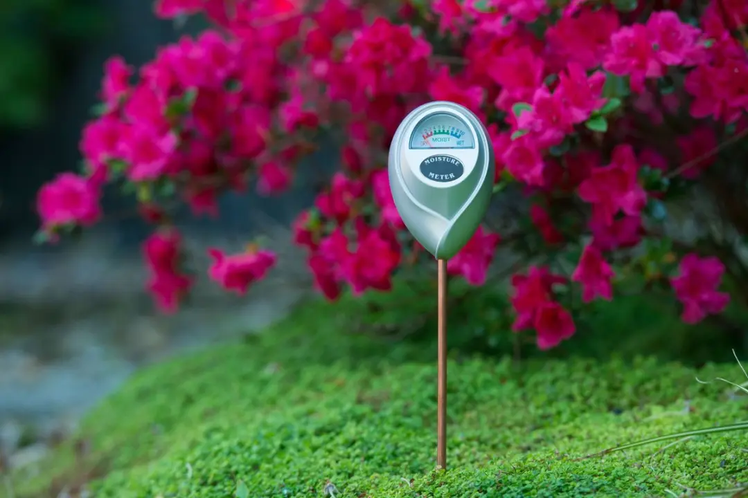 Nature Vochtigheidsmeter Hygrometer Grijs - afbeelding 5 van 5