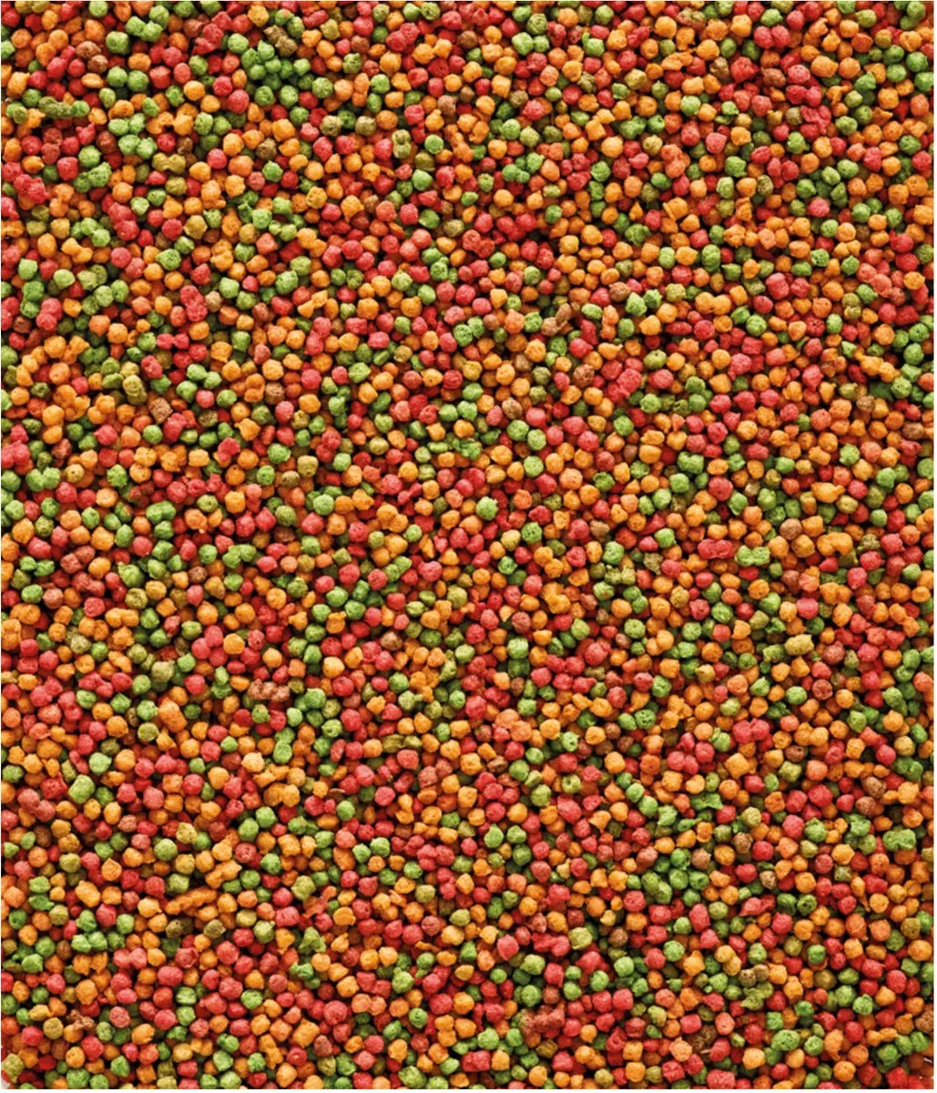 Versele-Laga Nutribird B14 Parkiet Onderhoudsvoer 3kg - afbeelding 4 van 6