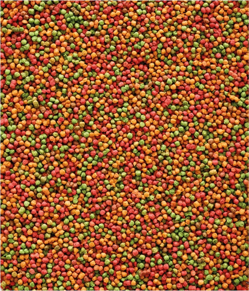 Versele-Laga Nutribird B14 Parkiet Onderhoudsvoer 3kg - afbeelding 6 van 6