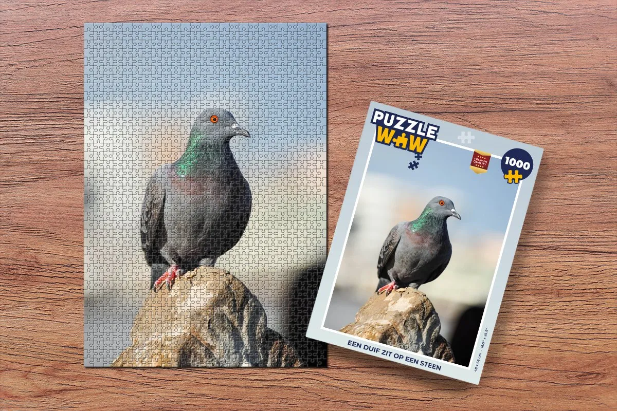 PuzzleWow Legpuzzel Een duif zit op een steen 1000 Stuks - Multicolor