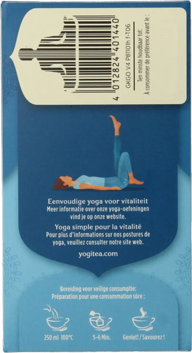 Yogi Tea Ginkgo Bio Kruidenthee 17g