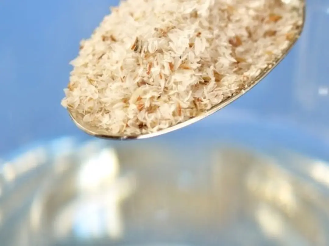 Mattisson Psylliumvezels Biologisch 250g