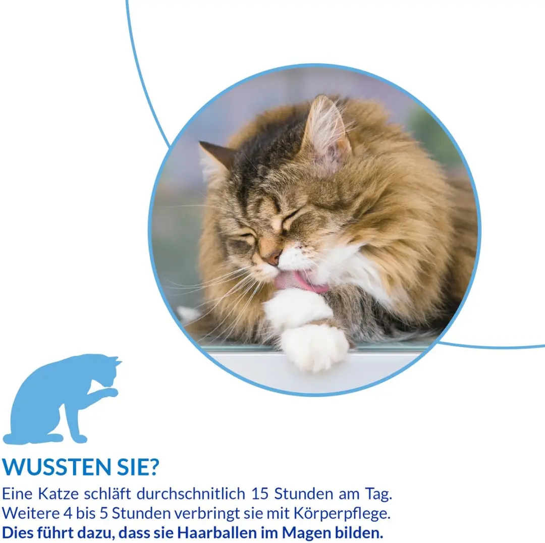 Inaba Churu Hairball Kattensnack - 56g (4x14g)