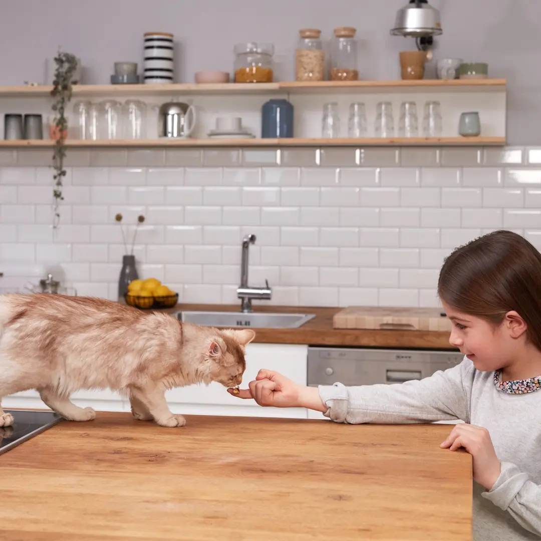 GimCat Yoghurt Pouch Kattensnack 150g - afbeelding 4 van 6