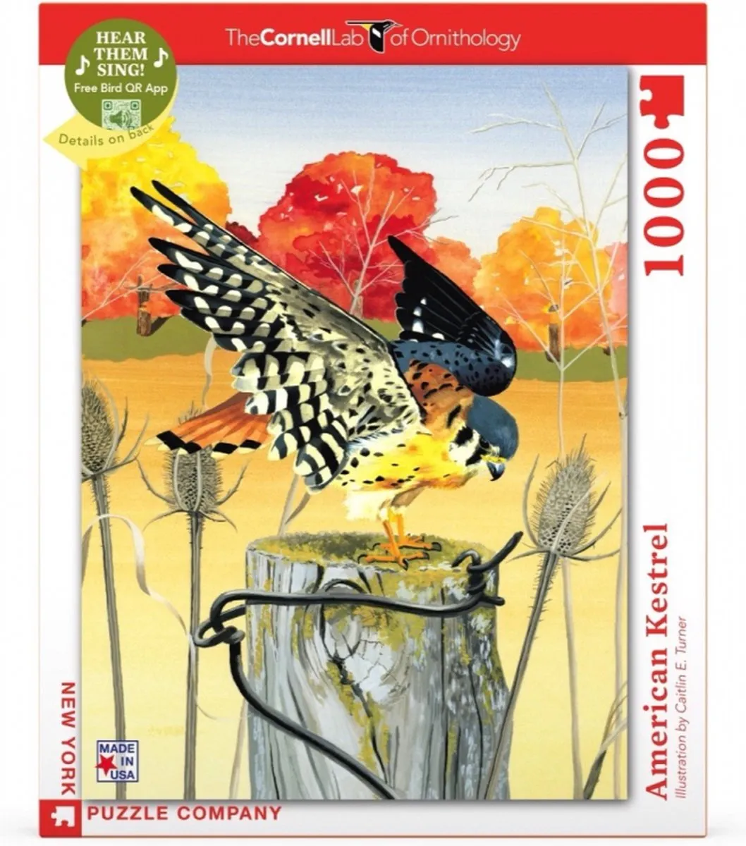 The New York Puzzle Company Cornell Lab American Kestrel 1000 Stuks - Multi