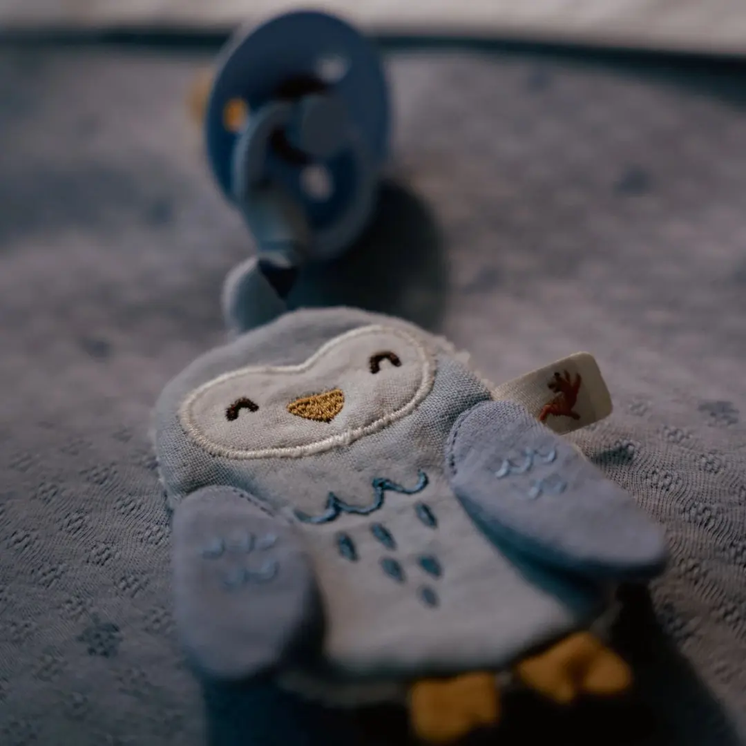 Little Dutch Speendoekje Forest Friends - Blauw - afbeelding 5 van 6