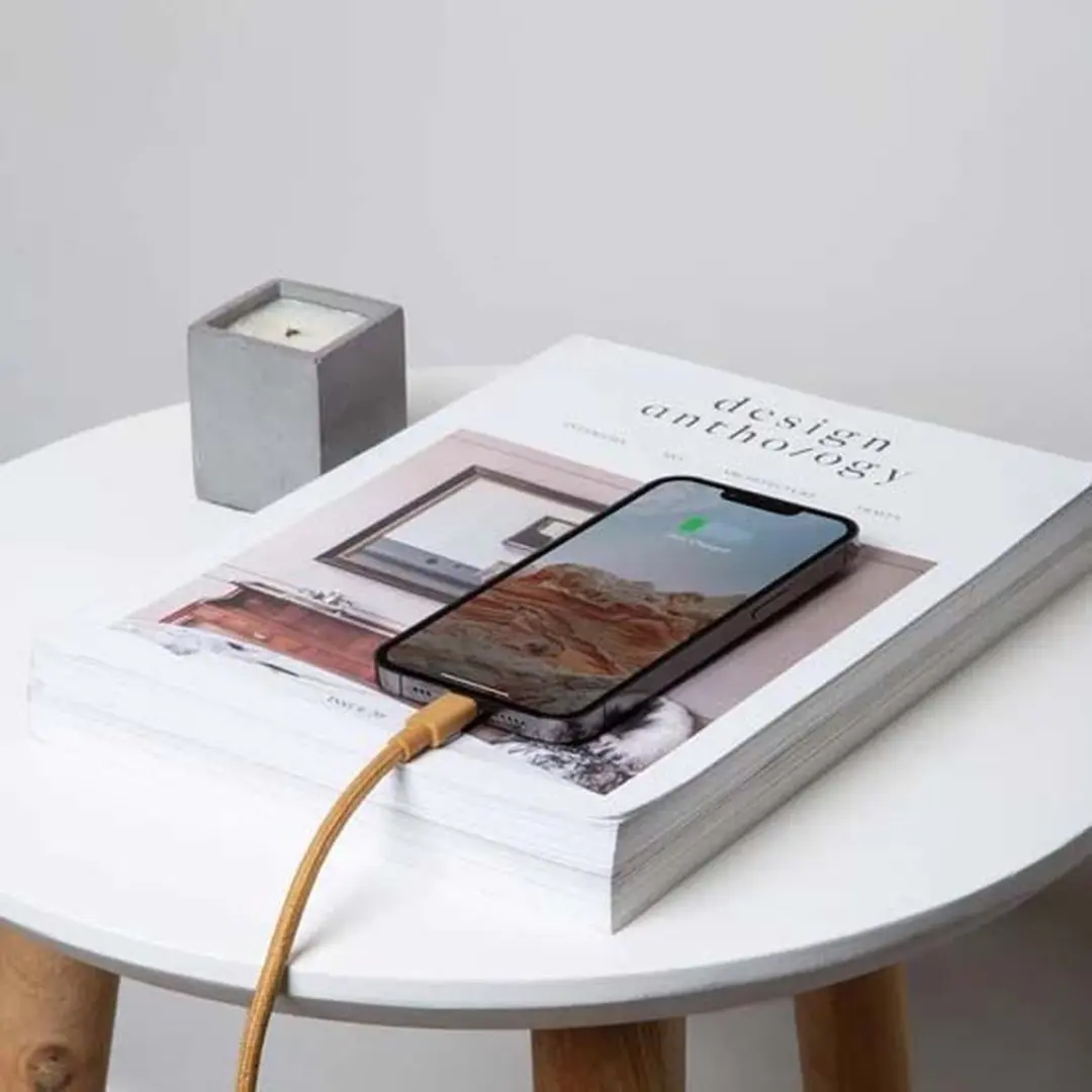Native Union Beltkabel USB-C 1,2m - Transparent