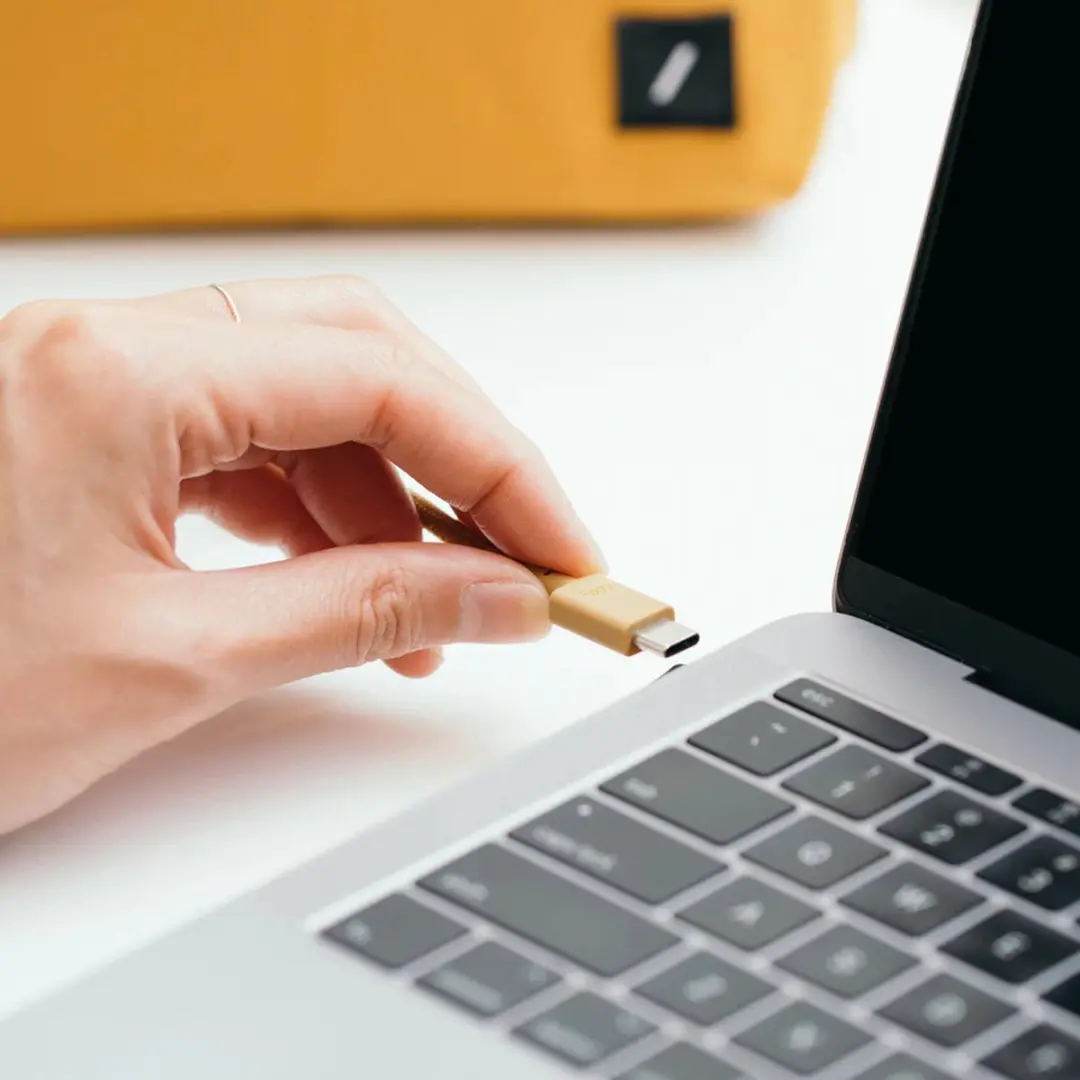 Native Union Anchor-Kabel USB-C 3m - Transparent