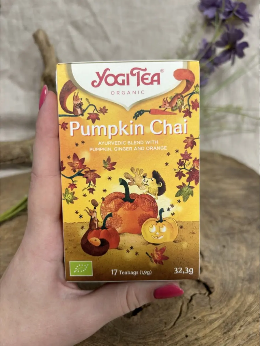 Yogi Tea Pumpkin Chai Bio - 17 Stuks