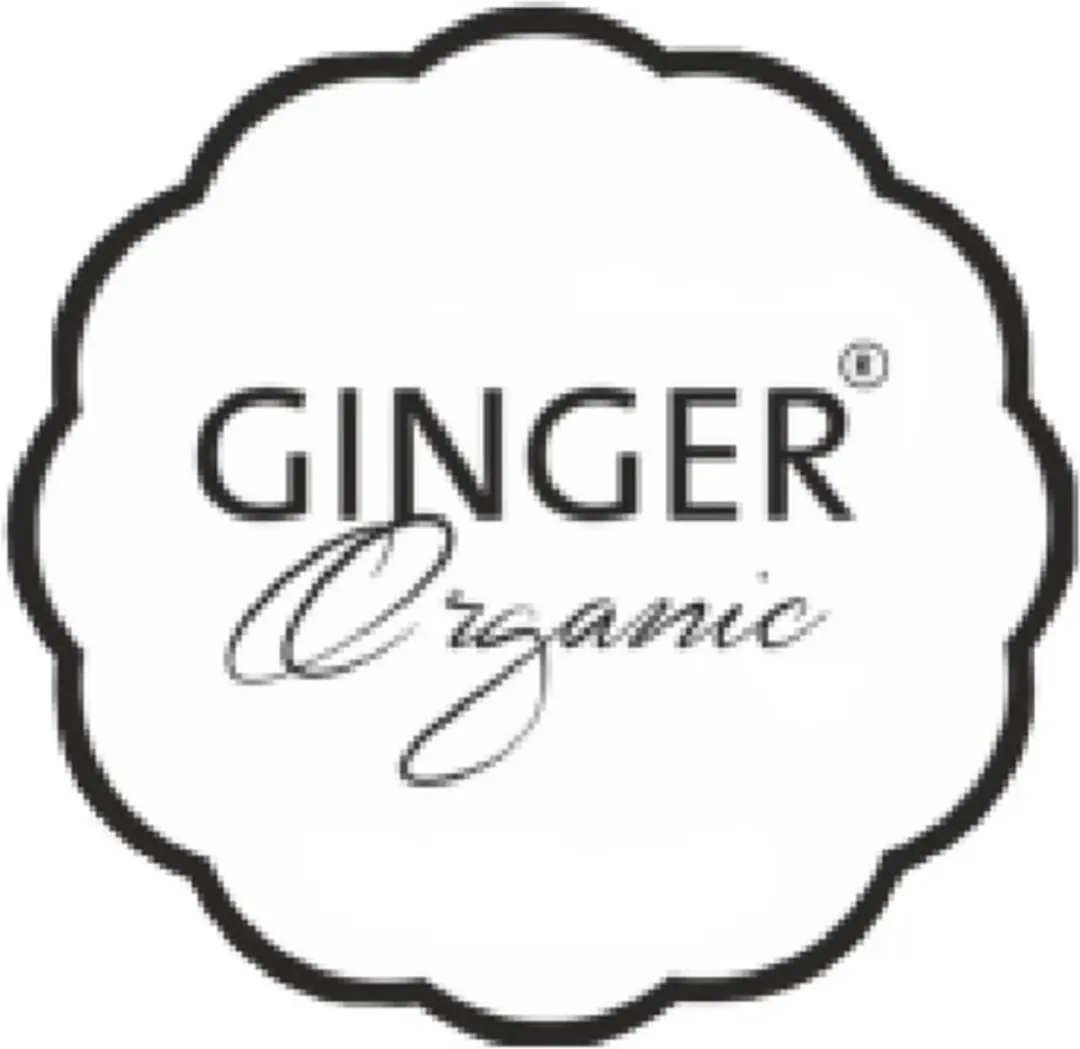 Ginger Organic Tampons Normaal - 1 Stuk