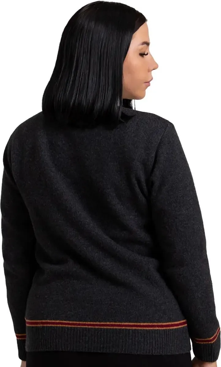 Harry Potter Lochaven Gryffindor V-Neck Sweater - XXS - Multicolor