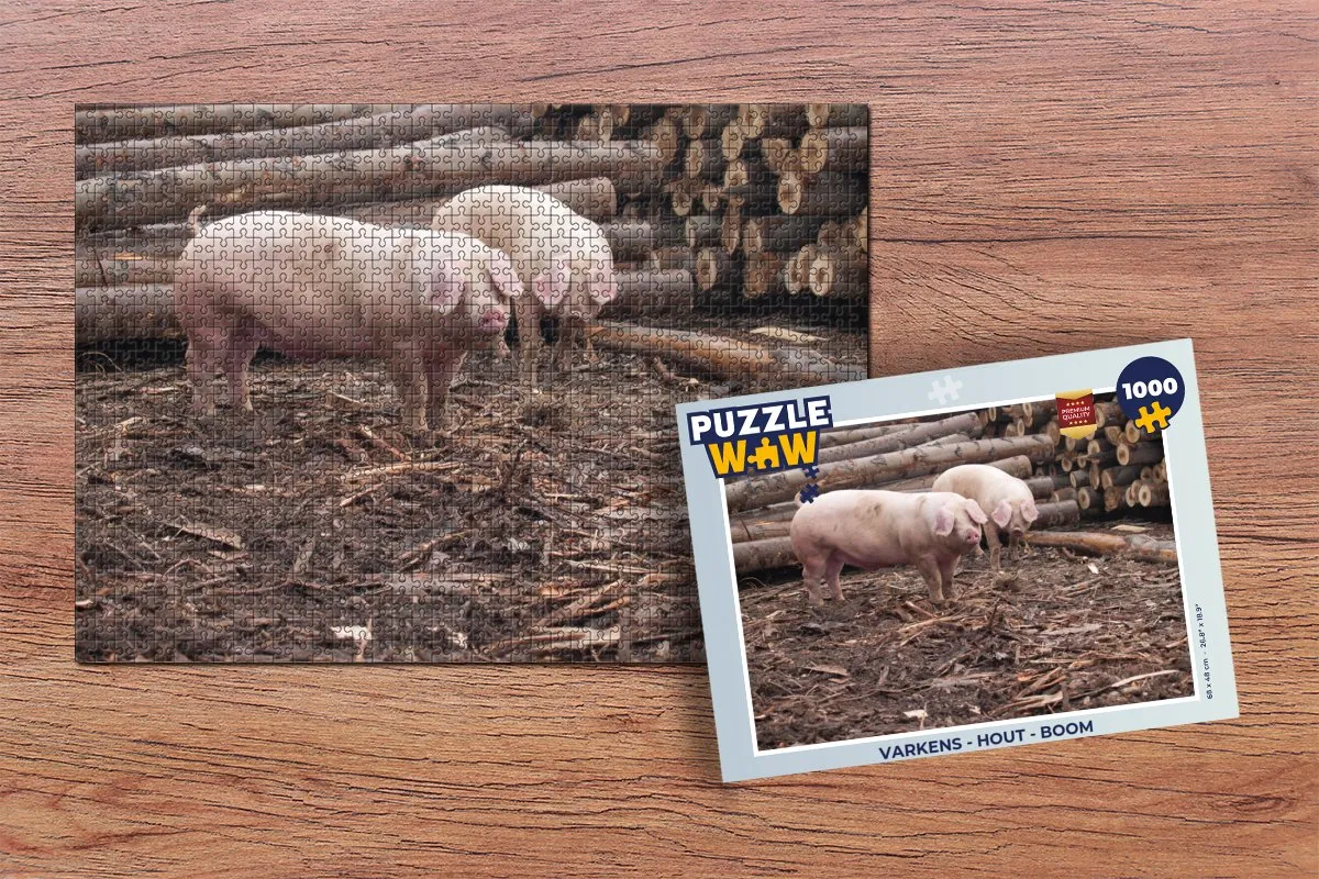 PuzzleWow Boom Legpuzzel 1000 Stuks - Multicolor
