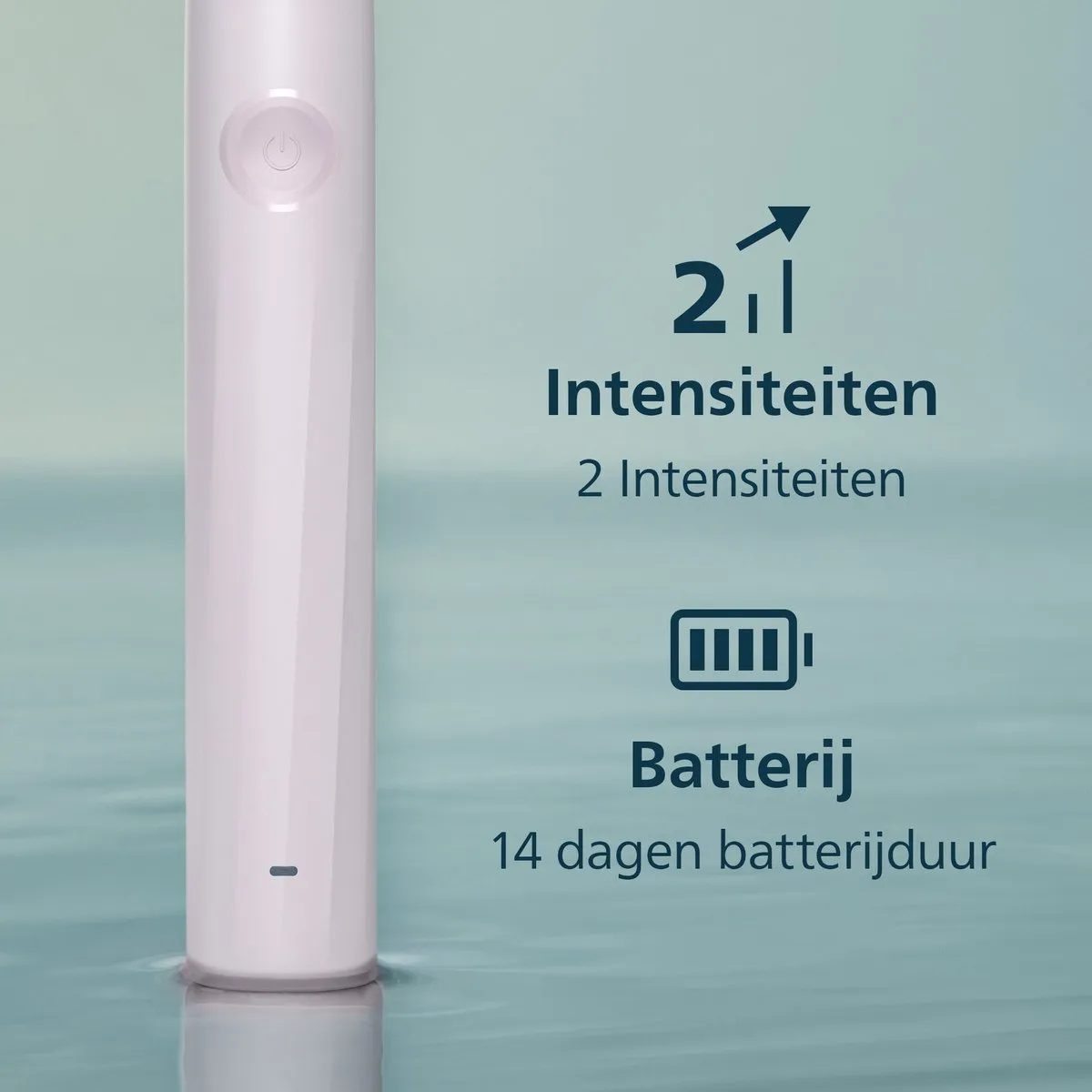 Philips Sonicare 2100 Series HX4022/03 Elektrische Tandenborstel - Roze