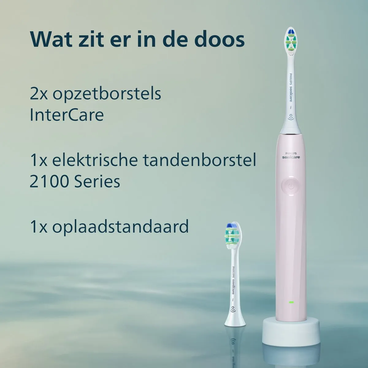 Philips Sonicare 2100 Series HX4022/03 Elektrische Tandenborstel - Roze