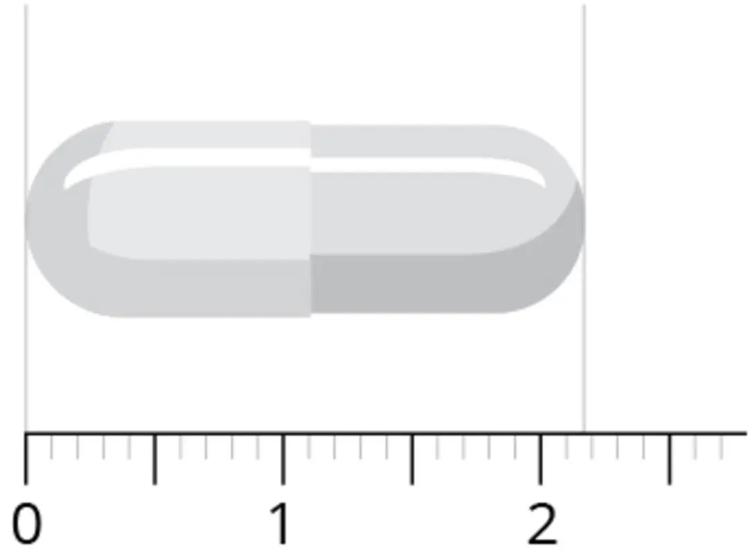 Vitals Elke Dag Voordeelverpakking - 120 Capsules