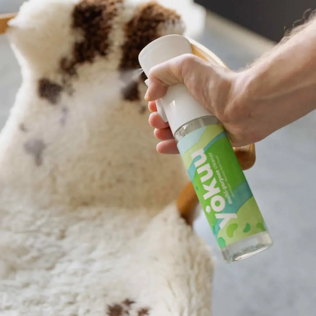 Yokuu Allesreiniger Starter Kit 300ml