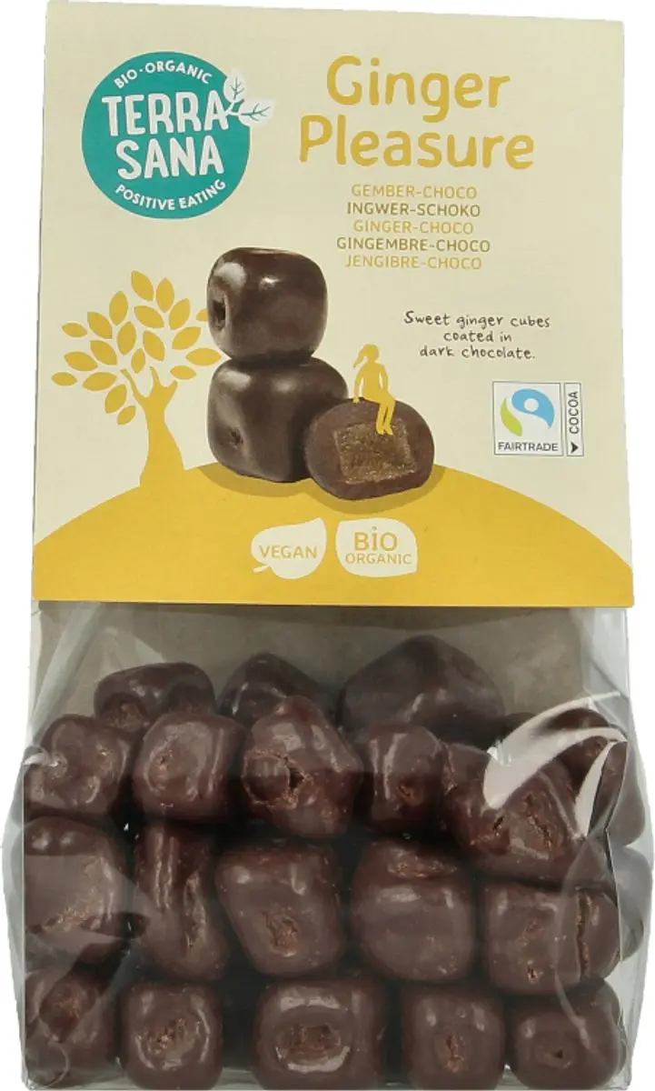 Terrasana Ginger Pleasure Choco Bio 150g