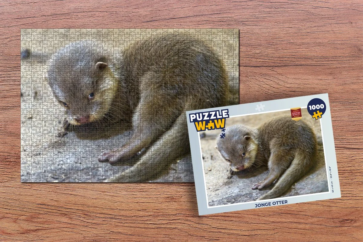 PuzzleWow Jonge Otter Legpuzzel 1000 Stuks - Multicolor