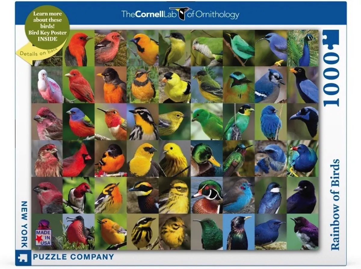 The New York Puzzle Company Cornell Lab Rainbow of Birds 1000 Stuks - Puzzle