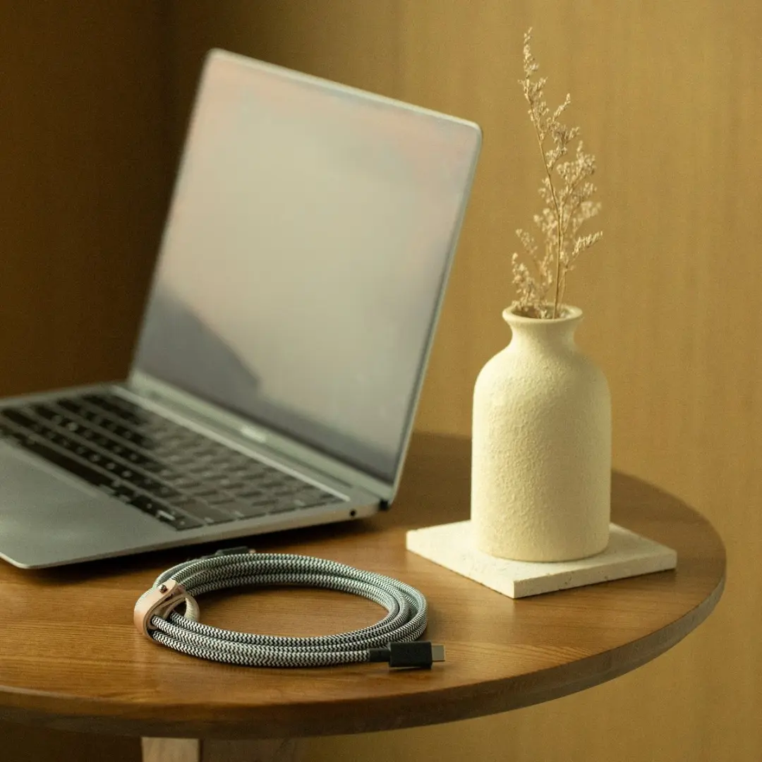 Native Union Belt Cable XL USB-C naar USB-C 3M 100W - Zebra