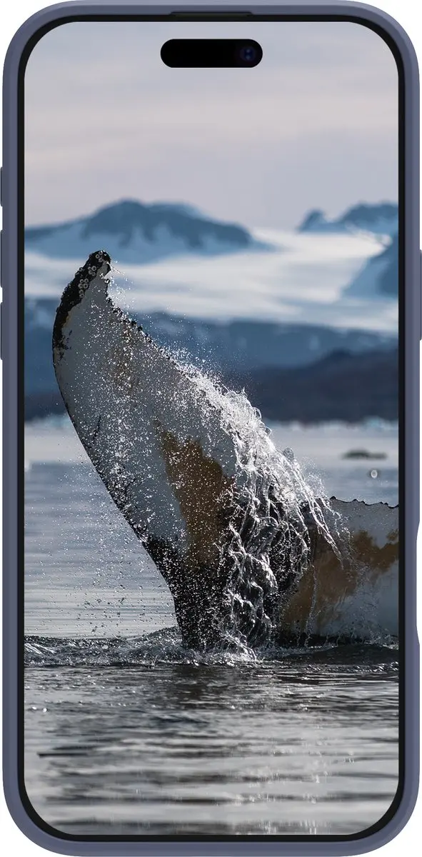dbramante1928 Greenland Pro Mag iPhone 16 Plus Hoesje - Pacific Blue