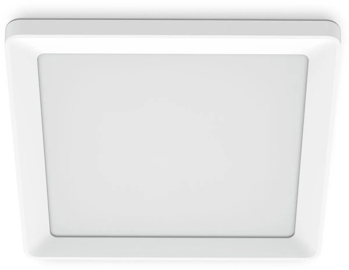 Philips Valen Plafondlamp 17W