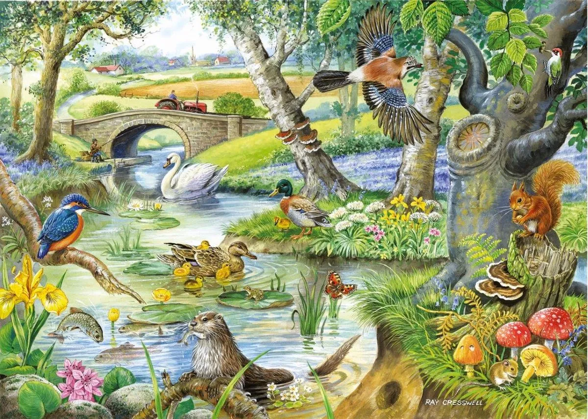 House of Puzzles Tales of the River Legpuzzel 500 XL - Multicolor
