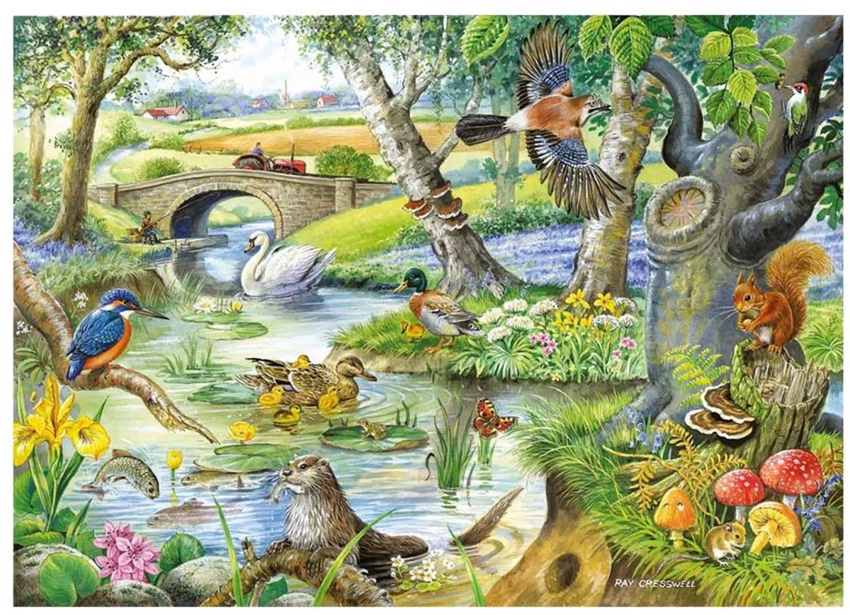 House of Puzzles Tales of the River Legpuzzel 500 XL - Multicolor