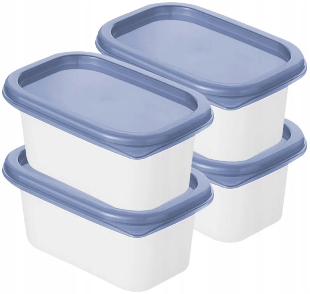 Set van 4 diepvriesbakjes voor koelkast/vriezer 200 ml ROTHO Domino