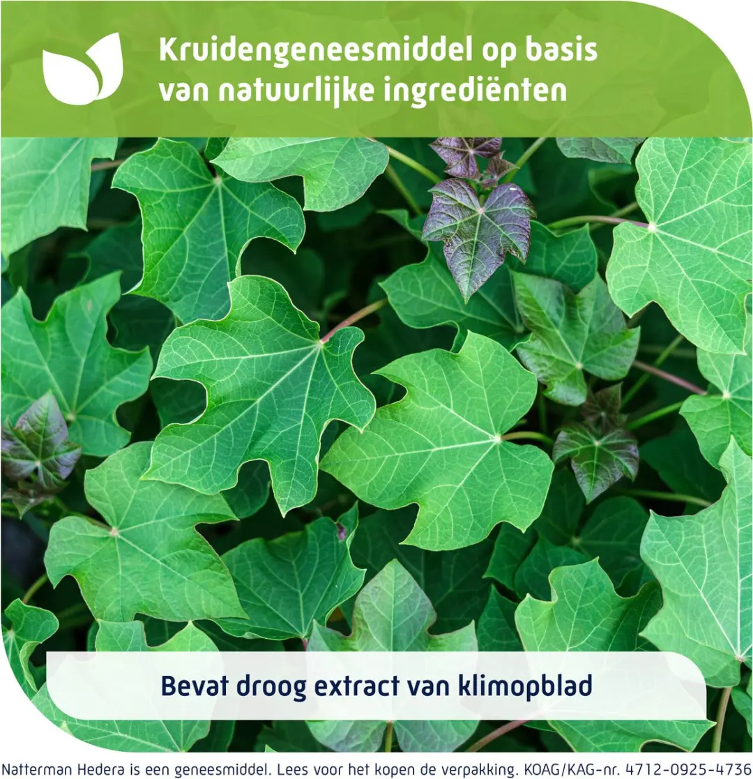Natterman Hedera Stroop Slijmoplossend 150ml - afbeelding 2 van 6