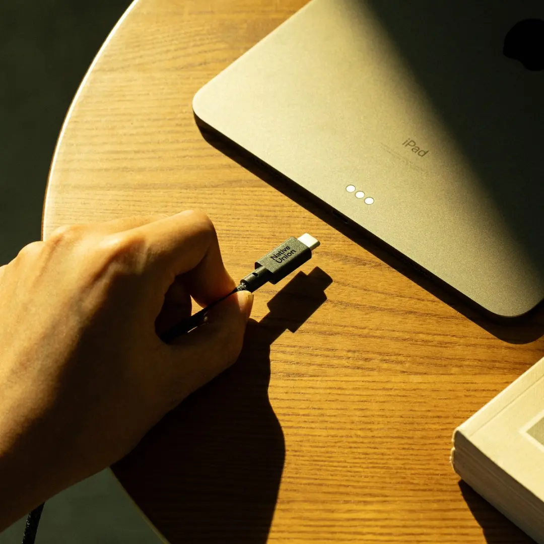 Native Union Belt Cable XL USB-C naar USB-C 3m - 100W - Cosmos