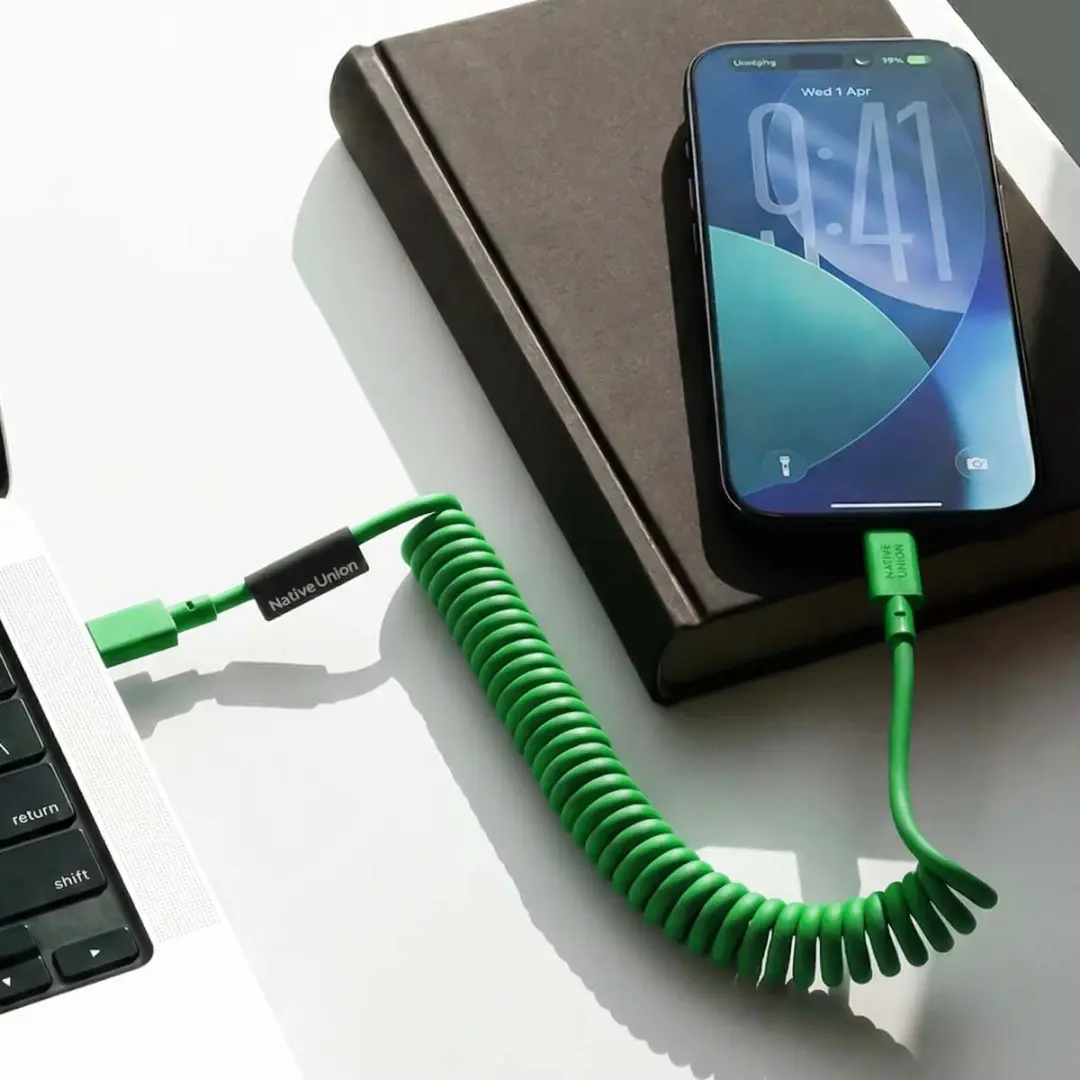 Native Union Pop Cable USB-C 2.4M 60W Pine