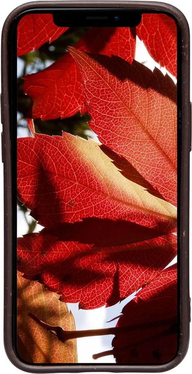 dbramante1928 Barcelona Hoes iPhone 12 Pro 6.1" - Dark Chocolate - BA61DACH5413