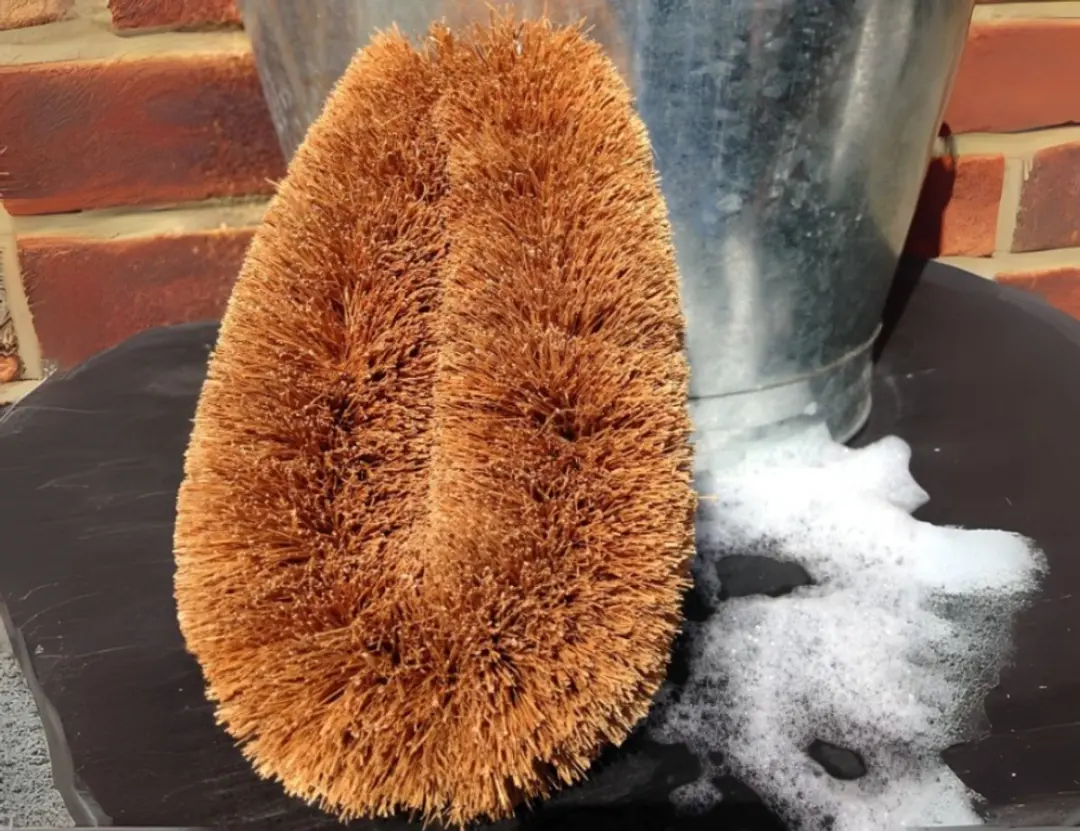 Loofco Schuurborstel Kokos - Multicolor