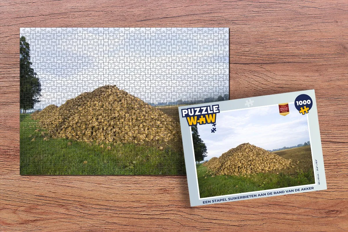 PuzzleWow Legpuzzel 1000 Stuks - Multicolor