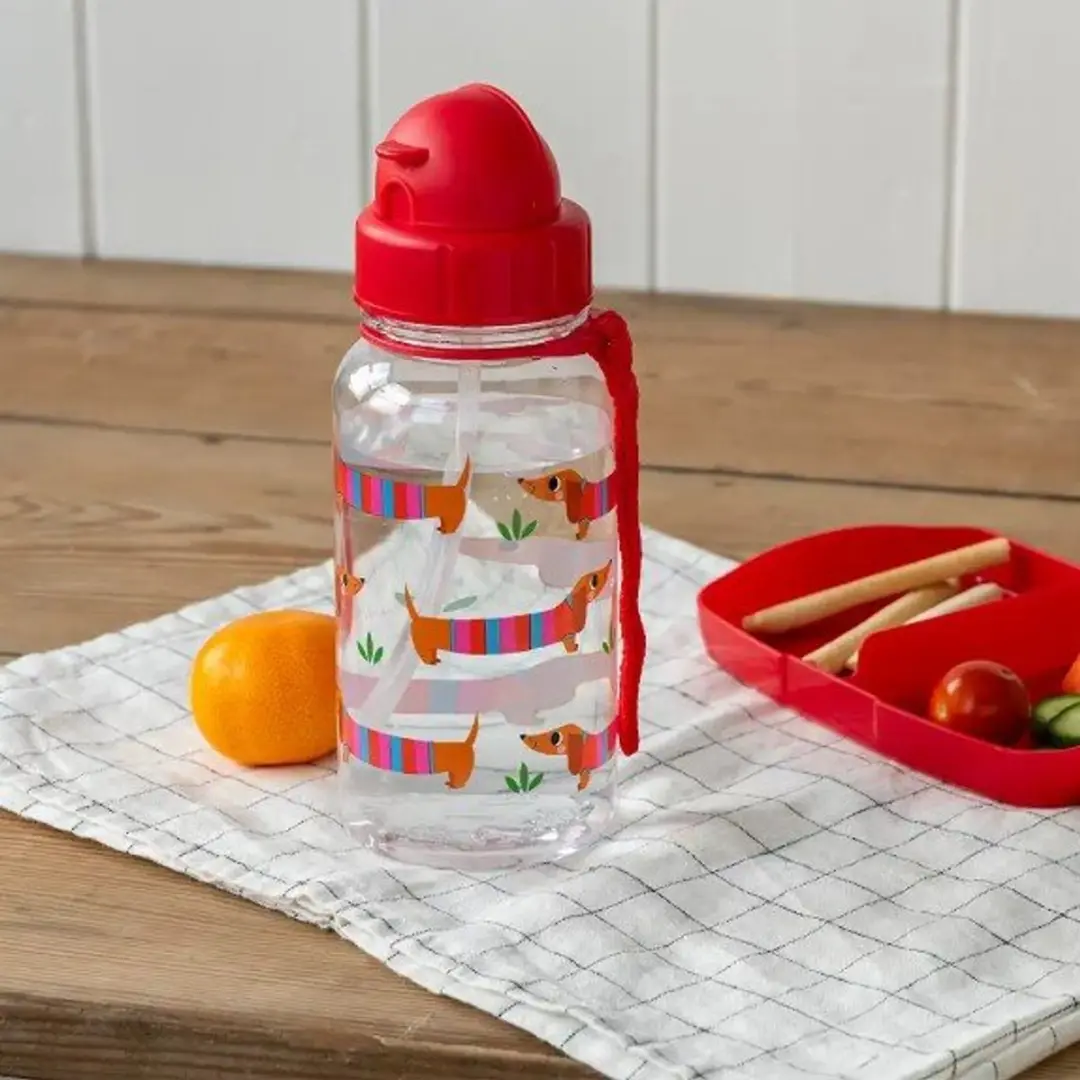 Rex London Kinderwaterfles Road Trip 500ml - Rood