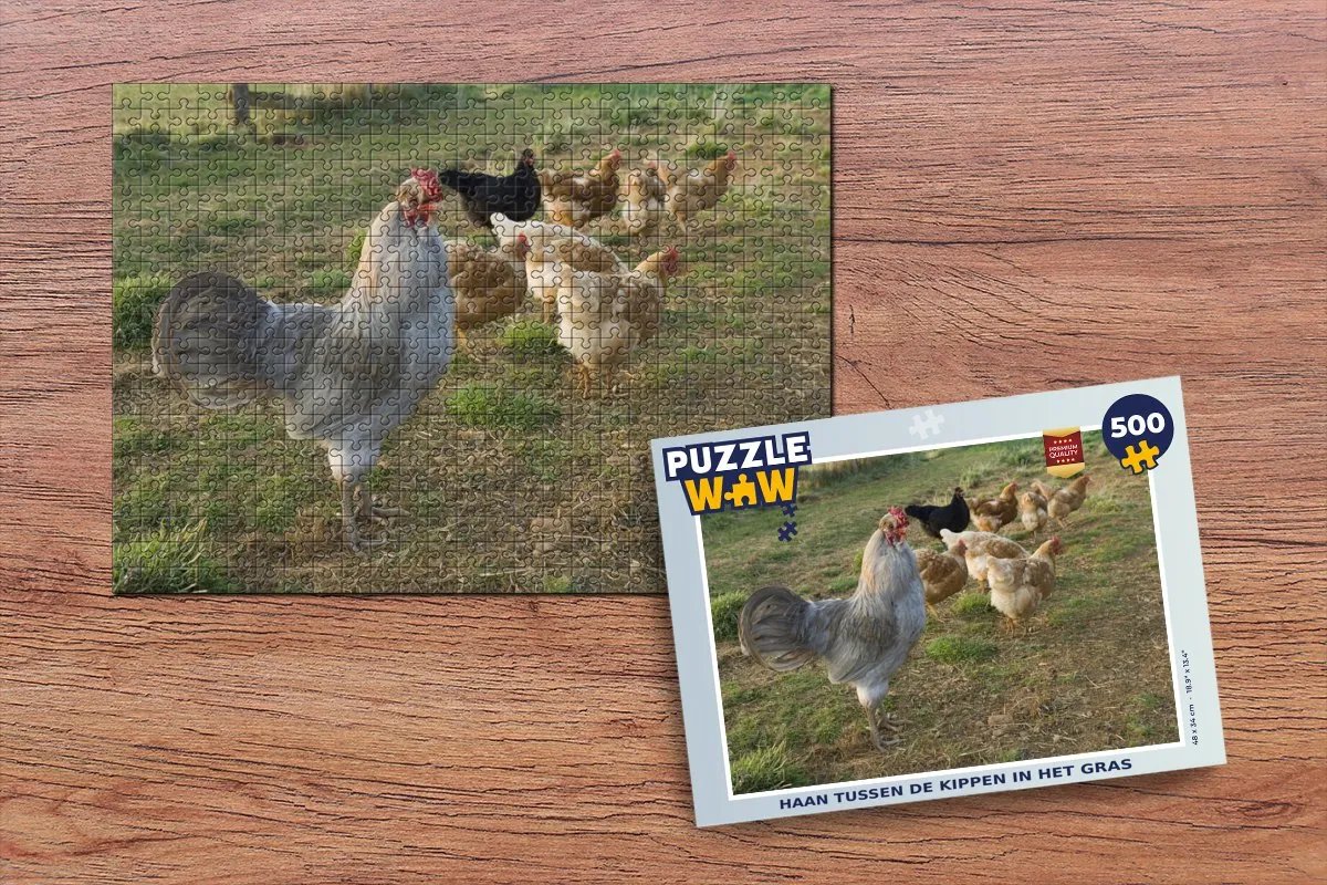 PuzzleWow Legpuzzel Haan tussen de kippen 500 Stuks - Multicolor
