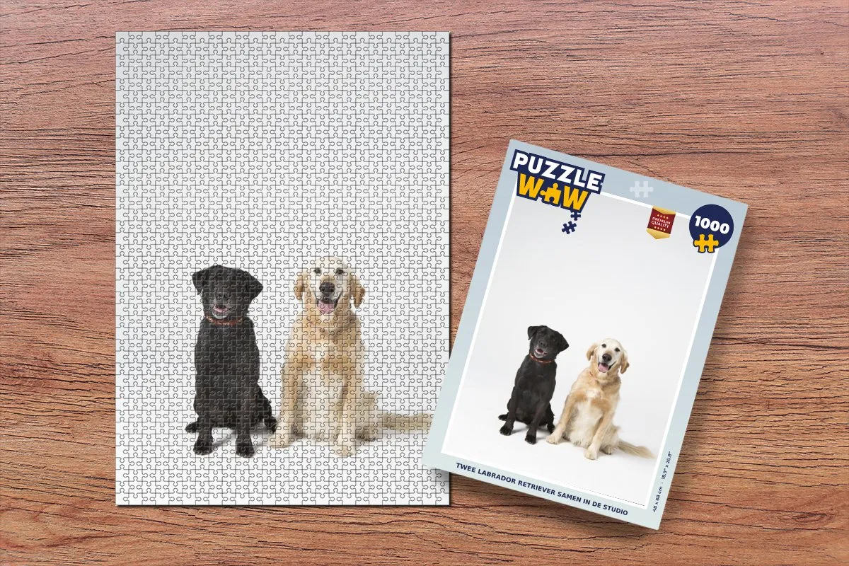 PuzzleWow Labrador Retriever Studio Legpuzzel 1000 Stuks - Multicolor