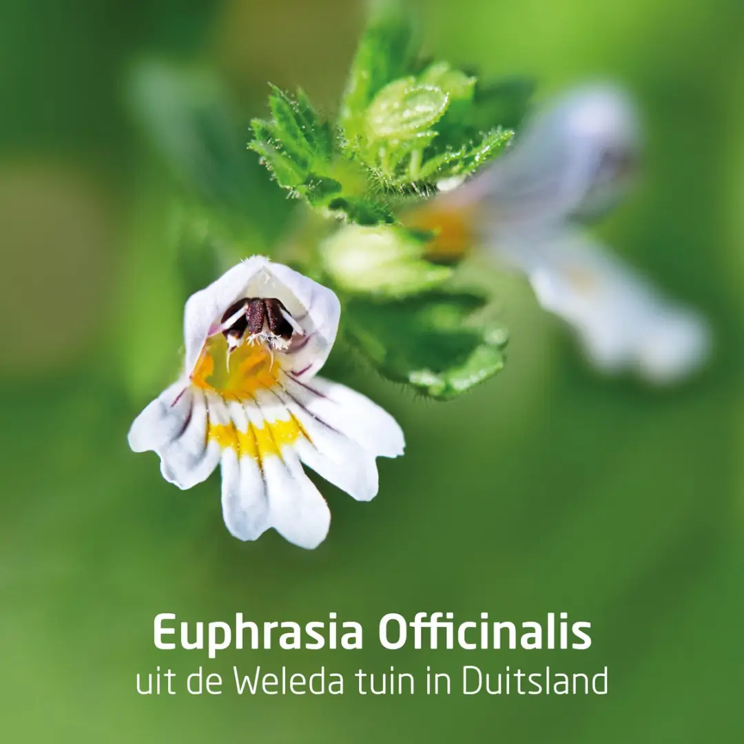 Weleda Ogentroost Oogdruppels 10ml