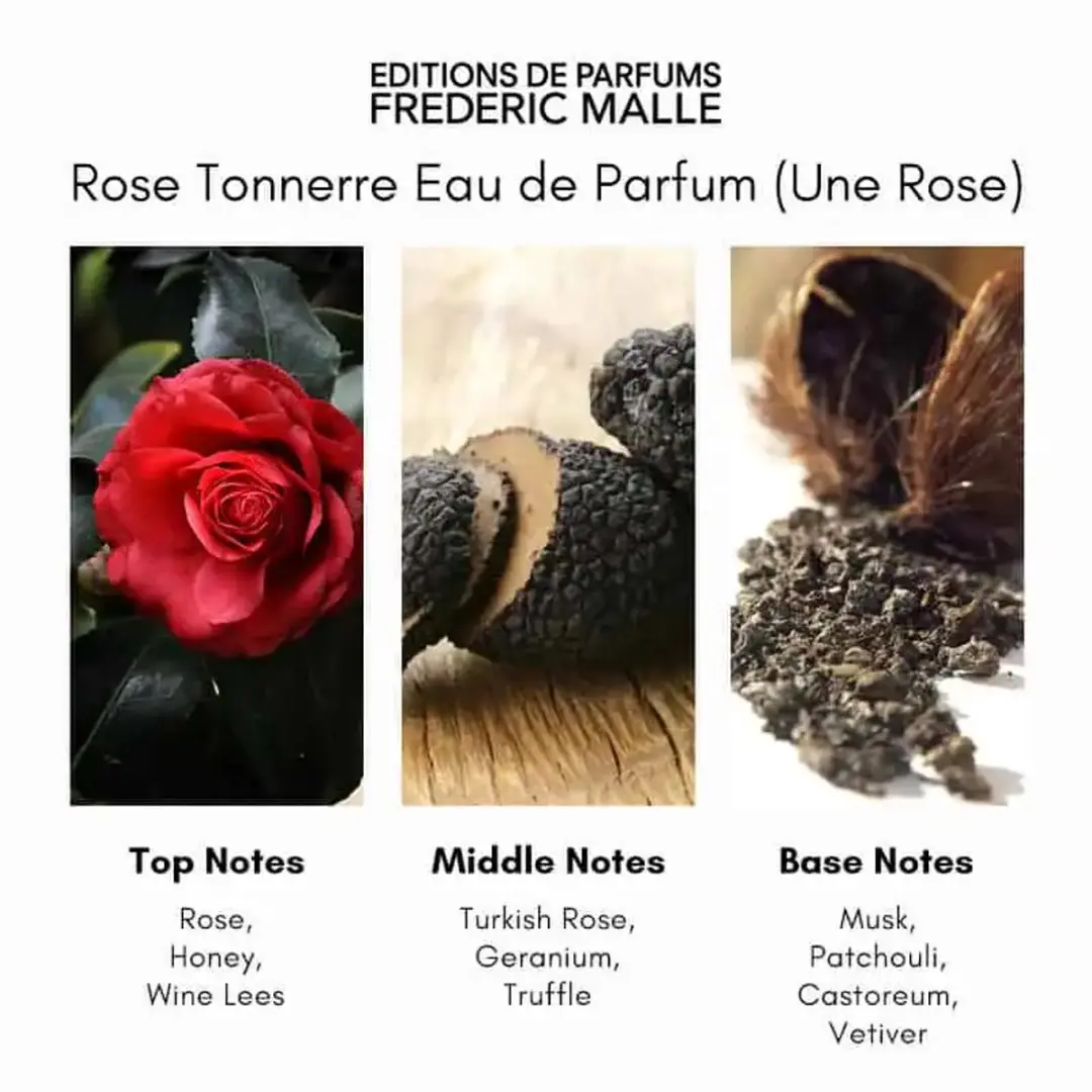 Frederic Malle Rose Tonnerre Eau de Parfum 100ml