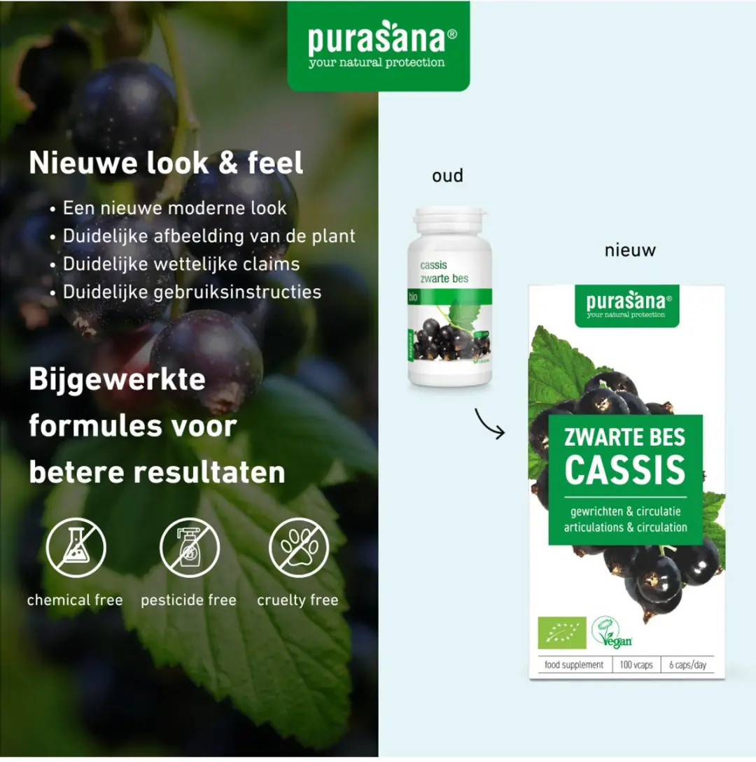 Purasana Zwarte Bes Capsules Bio 100 Stuks - afbeelding 5 van 6