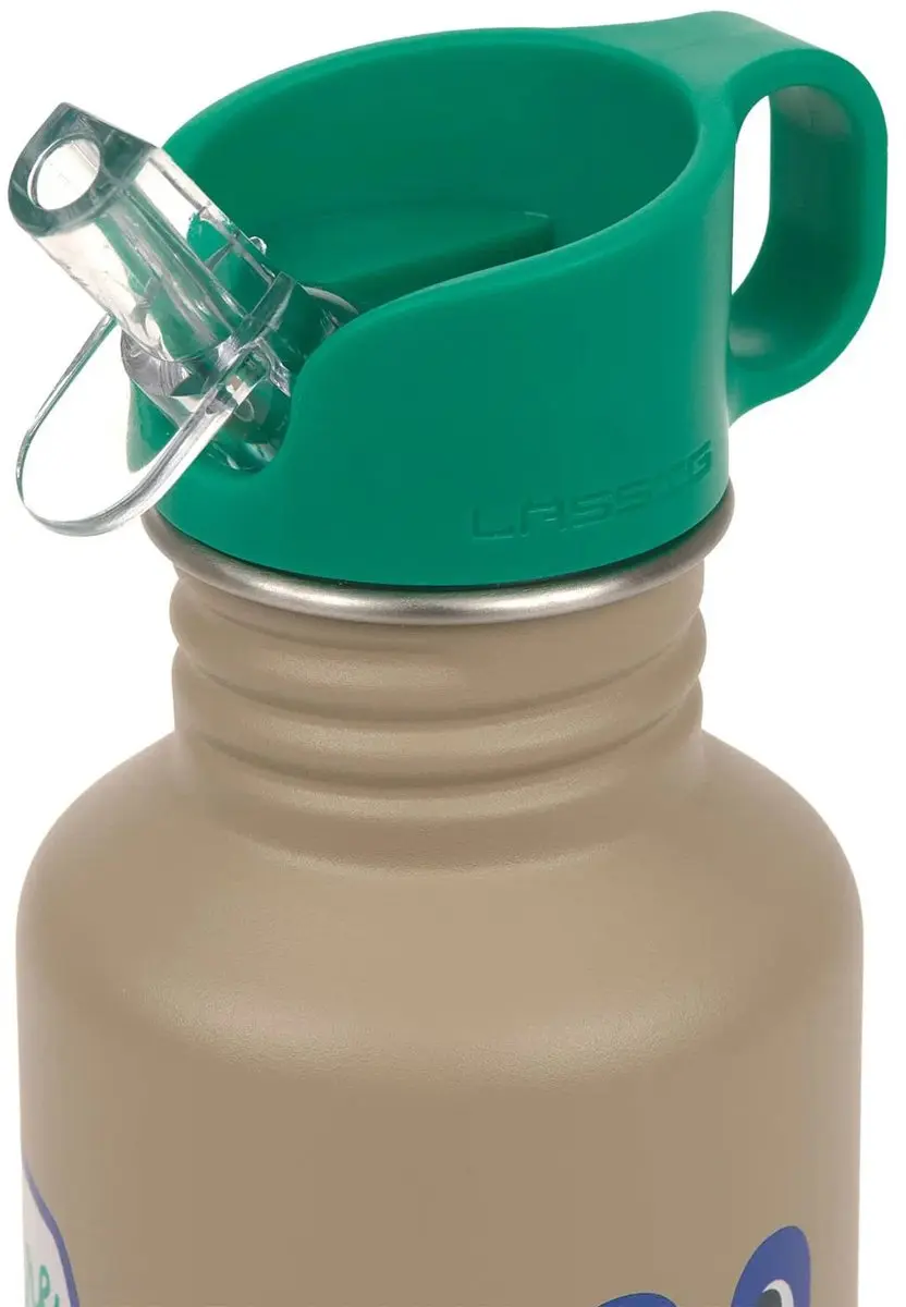 Lässig Happy Trails Drinkfles RVS - 500 ml - Frog