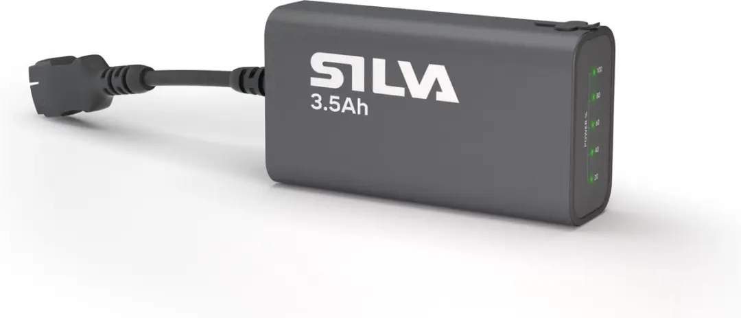 Silva